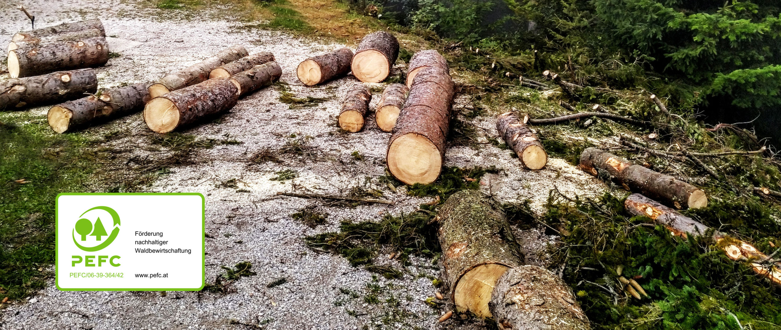 Holz aus PEFC-Anbau